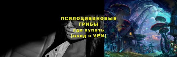 амф Вязьма