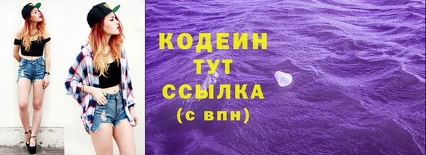 прущие грибы Вязники