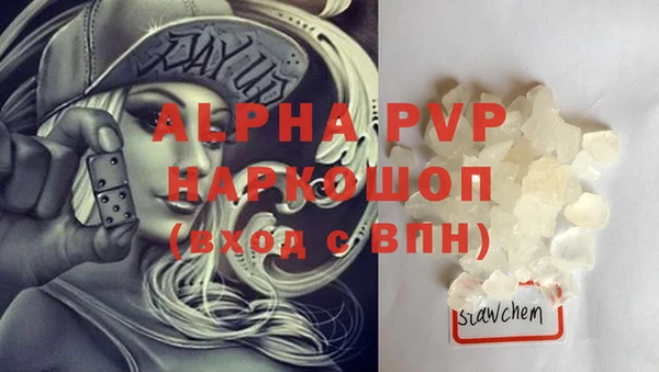 прущие грибы Вязники