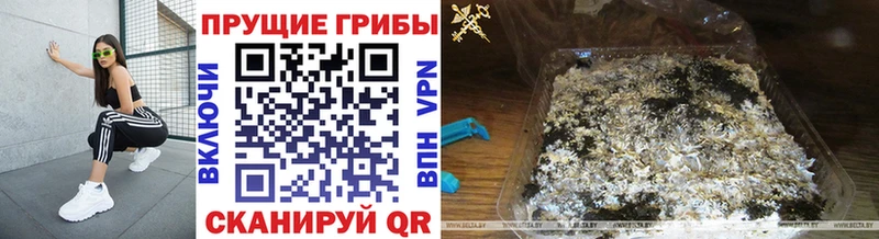 ссылка на мегу ссылки  Карпинск  Галлюциногенные грибы Psilocybine cubensis 